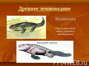 Древнее земноводное Ихтиостега«Переходное звено"между рыбами и земноводными.
