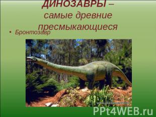 ДИНОЗАВРЫ –самые древние пресмыкающиеся Бронтозавр
