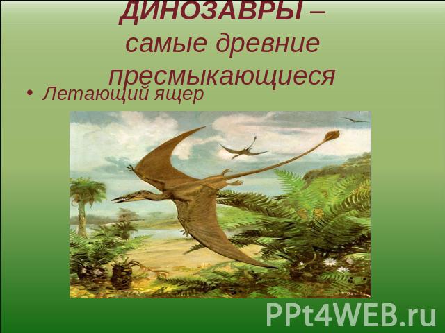 ДИНОЗАВРЫ –самые древние пресмыкающиеся Летающий ящер