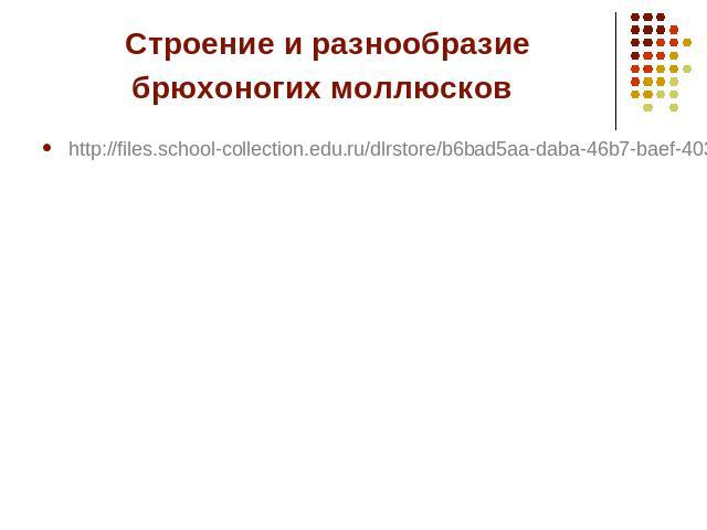 Строение и разнообразие брюхоногих моллюсков http://files.school-collection.edu.ru/dlrstore/b6bad5aa-daba-46b7-baef-403c6cd8d0f5/%5BBI7GI_5-02%5D_%5BIL_02%5D.html