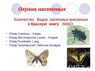 Охрана насекомых Количество Видов насекомых внесенных в Красную книгу ХМАООтряд