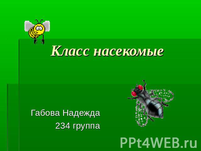 Класс насекомые Габова Надежда234 группа