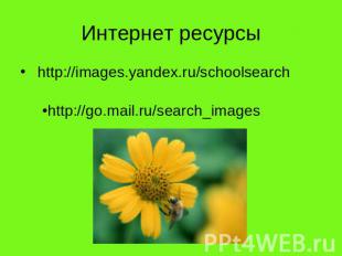 Интернет ресурсы http://images.yandex.ru/schoolsearchhttp://go.mail.ru/search_im