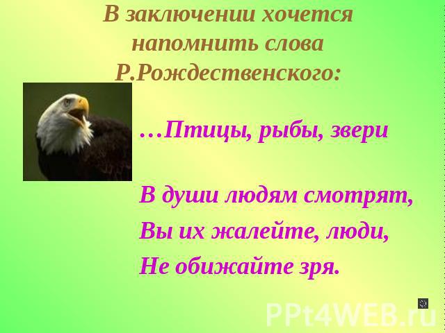В заключении хочется напомнить слова Р.Рождественского: …Птицы, рыбы, звери В души людям смотрят,Вы их жалейте, люди,Не обижайте зря.