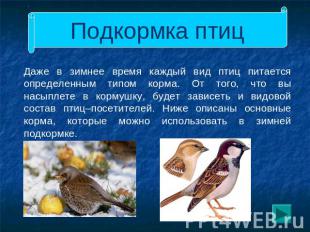 Подкормка птиц Даже в зимнее время каждый вид птиц питается определенным типом к