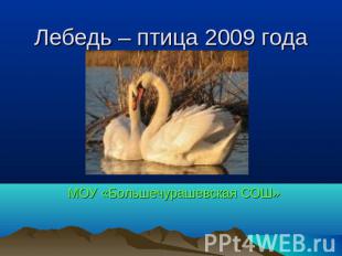 Лебедь – птица 2009 года МОУ «Большечурашевская СОШ»