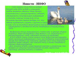 Новости - ИНФО Союз охраны птиц России выбрал Птицей года-2009 лебедя и планируе