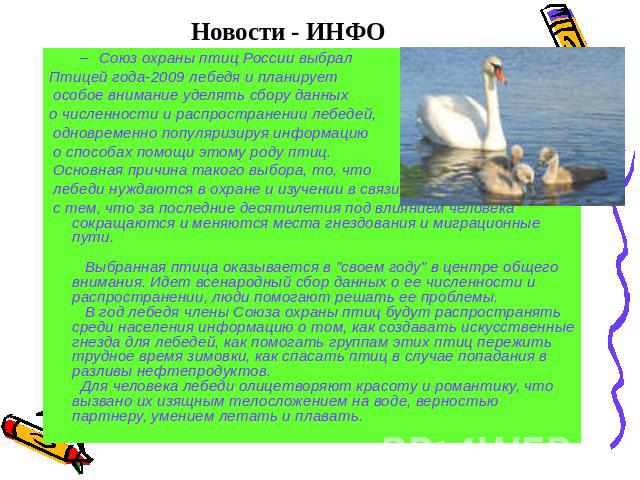 Новости - ИНФО Союз охраны птиц России выбрал Птицей года-2009 лебедя и планирует особое внимание уделять сбору данных о численности и распространении лебедей, одновременно популяризируя информацию о способах помощи этому роду птиц. Основная причина…