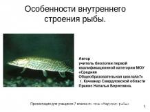 Особенности внутреннего строения рыбы