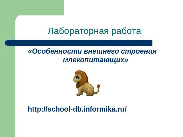 Лабораторная работа «Особенности внешнего строения млекопитающих»http://school-db.informika.ru/