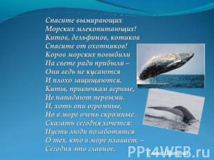 Спасите вымирающихМорских млекопитающих!Китов, дельфинов, котиковСпасите от охот