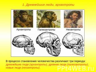 1. Древнейшие люди, архантропыВ процессе становления человечества различают три