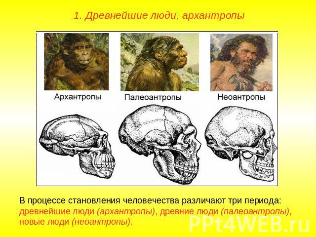 1. Древнейшие люди, архантропыВ процессе становления человечества различают три периода: древнейшие люди (архантропы), древние люди (палеоантропы), новые люди (неоантропы).