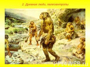 2. Древние люди, палеоантропы