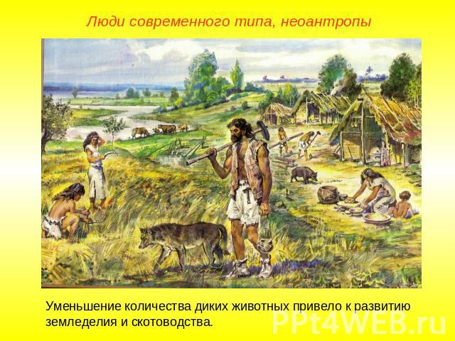 Люди современного типа, неоантропы Уменьшение количества диких животных привело к развитию земледелия и скотоводства.