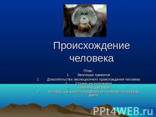 Происхождение человека План:Эволюция приматовДоказательства эволюционного происх
