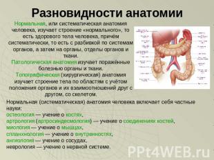 Разновидности анатомии Нормальная, или систематическая анатомия человека, изучае