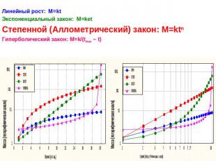 Линейный рост: М=ktЭкспоненциальный закон: М=ketСтепенной (Аллометрический) зако
