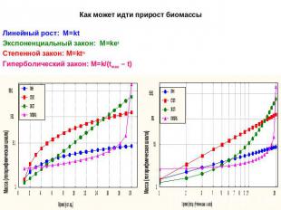 Как может идти прирост биомассыЛинейный рост: М=ktЭкспоненциальный закон: М=ketС