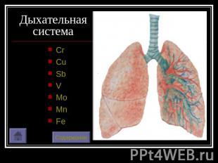 Дыхательная система CrCuSbVMoMnFe
