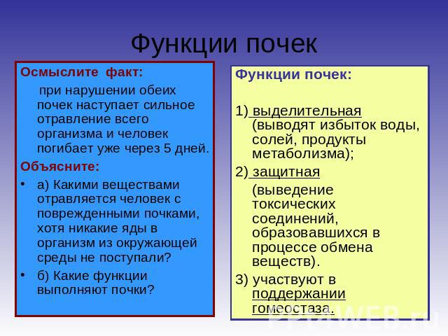 Функции почек Осмыслите факт: при нарушении обеих почек наступает сильное отравление всего организма и человек погибает уже через 5 дней.Объясните: а) Какими веществами отравляется человек с поврежденными почками, хотя никакие яды в организм из окру…