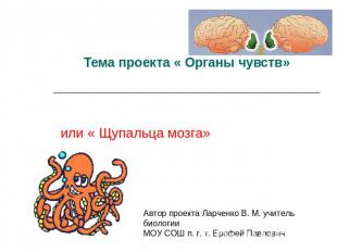 Тема проекта « Органы чувств» или « Щупальца мозга»Автор проекта Ларченко В. М.