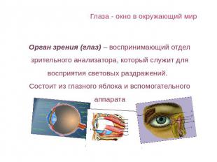 Глаза - окно в окружающий мир Орган зрения (глаз) – воспринимающий отдел зритель
