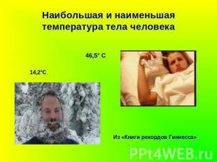 Наибольшая и наименьшая температура тела человека