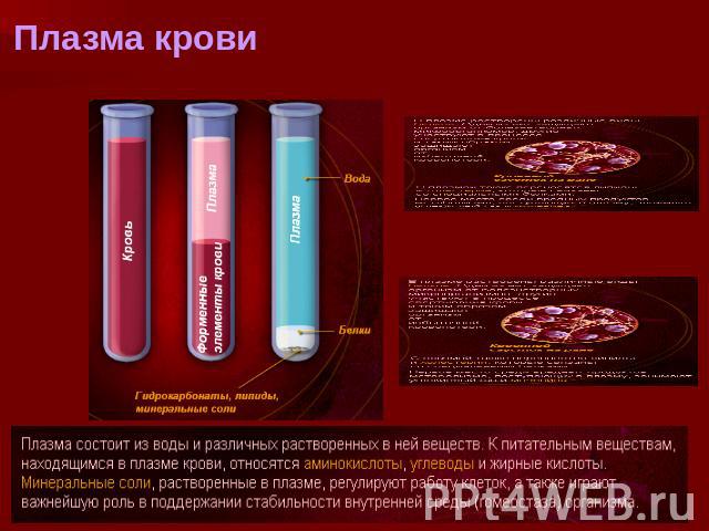 Плазма крови