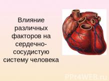 Влияние различных факторов на сердечно-сосудистую систему человека