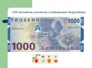 1000 австрийских шиллингов с изображением Ландштейнера