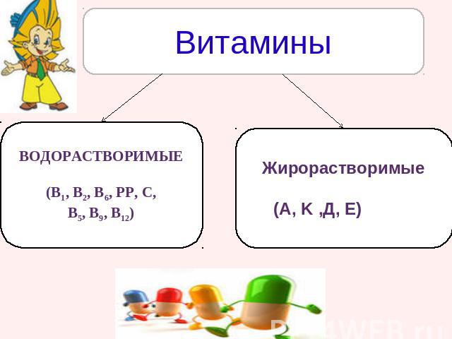 ВитаминыВОДОРАСТВОРИМЫЕ(В1, В2, В6, РР, С, В5, В9, В12) Жирорастворимые(A, K ,Д, Е)