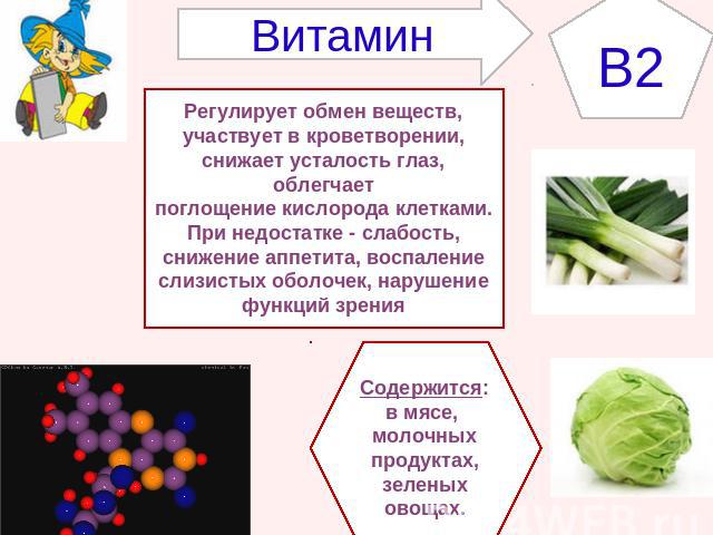 ВитаминB2Регулирует обмен веществ,участвует в кроветворении,снижает усталость глаз, облегчаетпоглощение кислорода клетками.При недостатке - слабость,снижение аппетита, воспалениеслизистых оболочек, нарушениефункций зренияСодержится:в мясе, молочных …