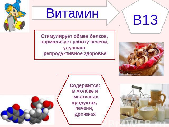 ВитаминB13Стимулирует обмен белков, нормализует работу печени, улучшает репродуктивное здоровьеСодержится:в молоке и молочных продуктах, печени, дрожжах