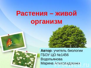 Растения – живой организм Автор: учитель биологии ГБОУ ЦО №1456 Водопьянова Мари