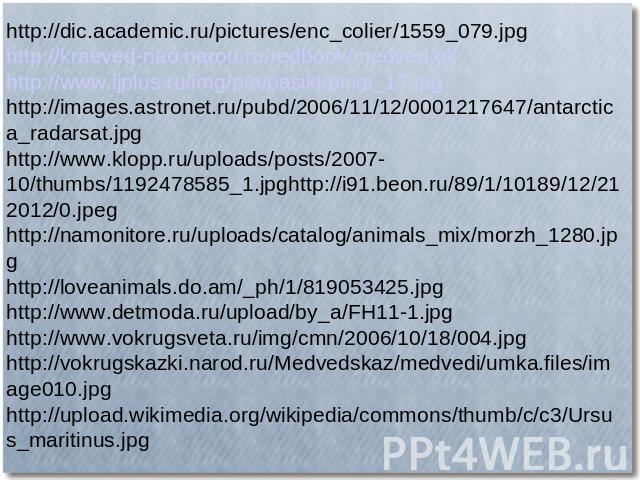 http://dic.academic.ru/pictures/enc_colier/1559_079.jpg http://kraeved-nao.narod.ru/redbook/medved.gif http://www.ljplus.ru/img/p/a/pasiki/pingi_17.jpg http://images.astronet.ru/pubd/2006/11/12/0001217647/antarctica_radarsat.jpg http://www.klopp.ru/…