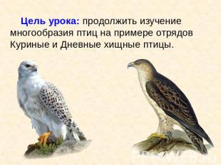 Цель урока: продолжить изучение многообразия птиц на примере отрядов Куриные и Д