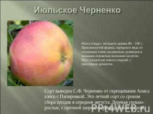 Июльское Черненко Масса плода с молодого дерева 80 – 100 г. Приплюснутой формы,
