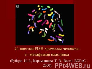 24-цветная FISH хромосом человека: a - метафазная пластинка (Рубцов  Н. Б., Кара