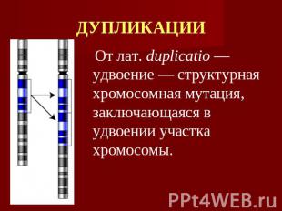 ДУПЛИКАЦИИ От лат. duplicatio — удвоение — структурная хромосомная мутация, закл