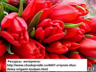 Ресурсы интернета: http://www.chudopredki.ru/4007-origami-dlya-detey-origami-tyu