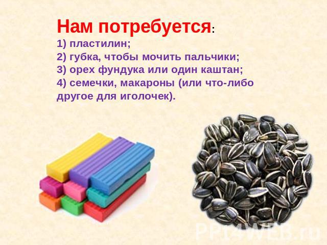 Нам потребуется: 1) пластилин;2) губка, чтобы мочить пальчики;3) орех фундука или один каштан;4) семечки, макароны (или что-либо другое для иголочек).
