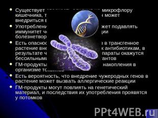 Существует опасность влияния на микрофлору кишечника, то есть чужеродный ген мож