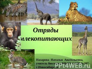 Отряды млекопитающих Назарова Наталья Анатольевна, учитель биологии МБОУ СОШ №20