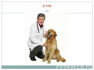 a vet