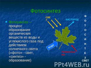 Фотосинтез Фотосинтез – процесс образования органических веществ из воды и углек