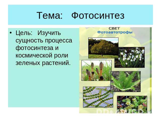 Тема: Фотосинтез Цель: Изучить сущность процесса фотосинтеза и космической роли зеленых растений.
