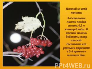 Настой из ягод калины: 3-4 столовые ложки плодов залить 0,5 л кипящей воды. В на