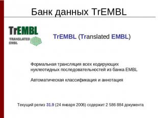 Банк данных TrEMBLTrEMBL (Translated EMBL) Формальная трансляция всех кодирующих
