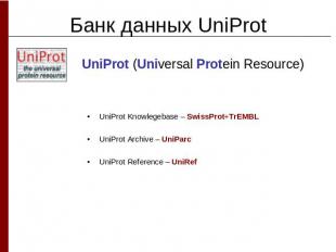 Банк данных UniProtUniProt (Universal Protein Resource) UniProt Knowlegebase – S